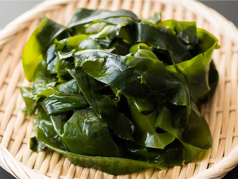 鳴門のワカメ The Wakame